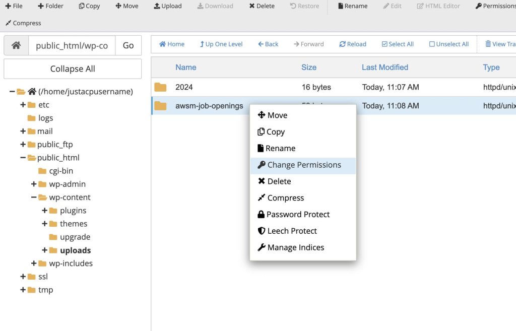 changing the file permissions